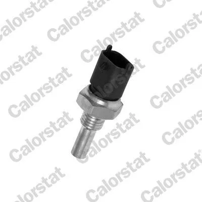 Kylvätsketemperatursensor CALORSTAT by Vernet WS2697
