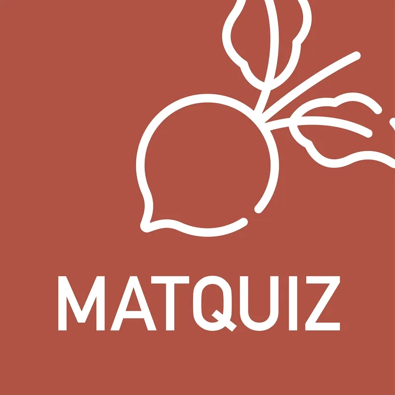 MatQuiz (PDF), E-bok