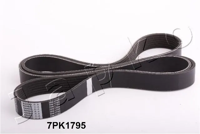 Multirem JAPKO 7PK1795