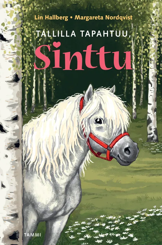 Tallilla tapahtuu, Sinttu, E-bok