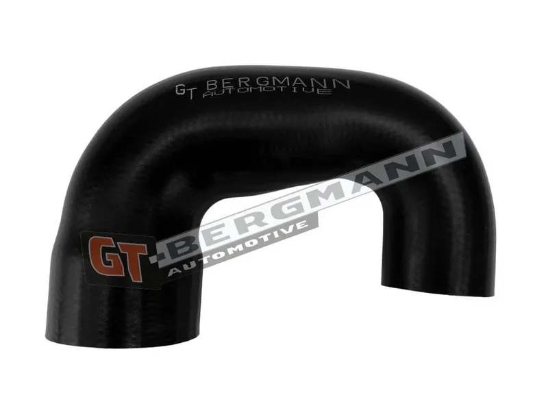 Laddluftslang GT-BERGMANN GT52-879