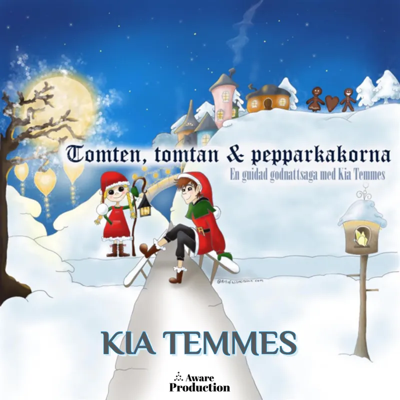 Tomten, tomtan och pepparkakorna, en guidad godnattsaga, Ljudbok