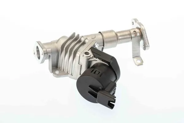 EGR-ventil WAHLER 7574D
