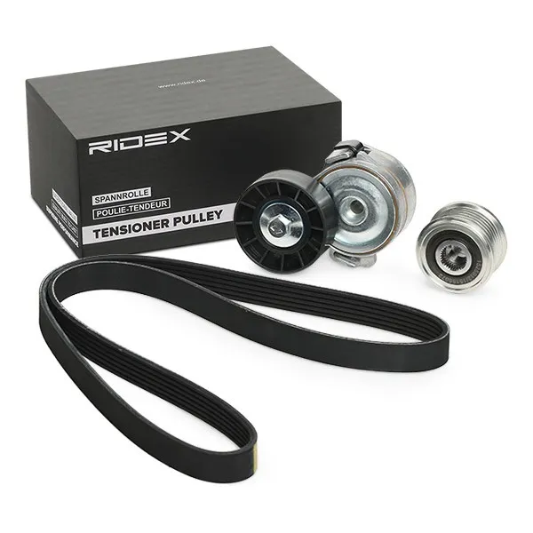 Drivremssats RIDEX 542R0500