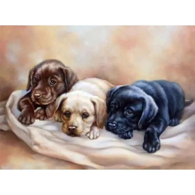 Diamantmålning Hund Djurmosaik Full Rund Borr Diamantbroderi Korsstygn 20X30CM (#5830)