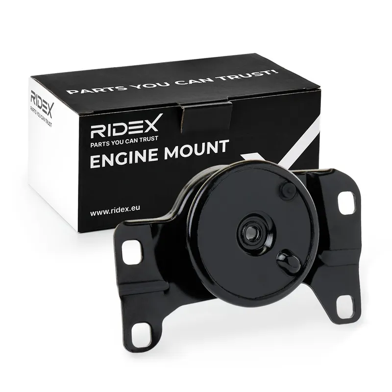 Motorkudde RIDEX 247E0601