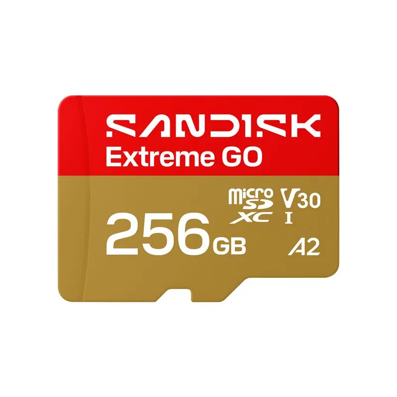 SanDisk Extreme GO microSD UHS-I Minneskort - 256GB
