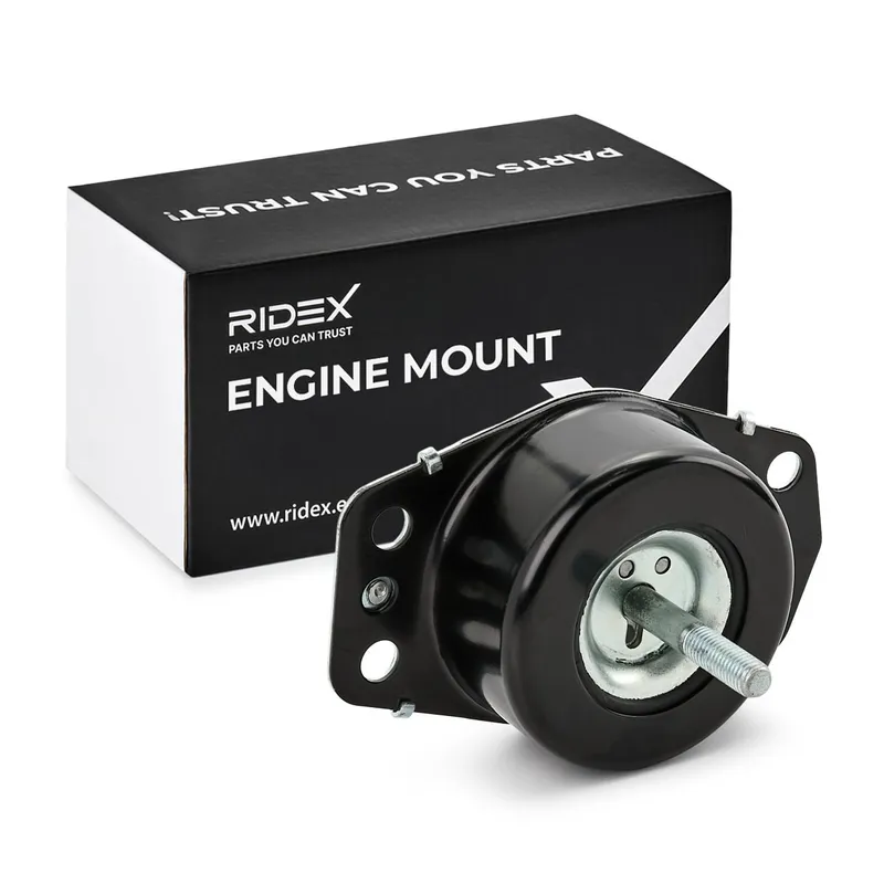Motorkudde RIDEX 247E0413