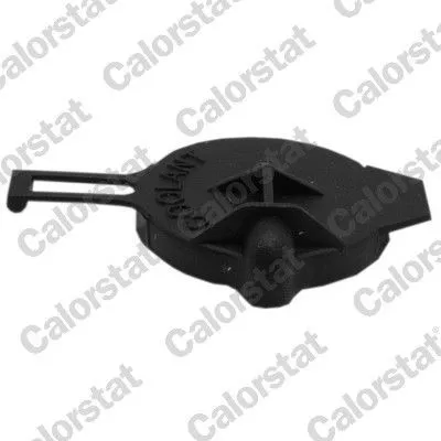 Lock till expansionskärl CALORSTAT by Vernet RC0170