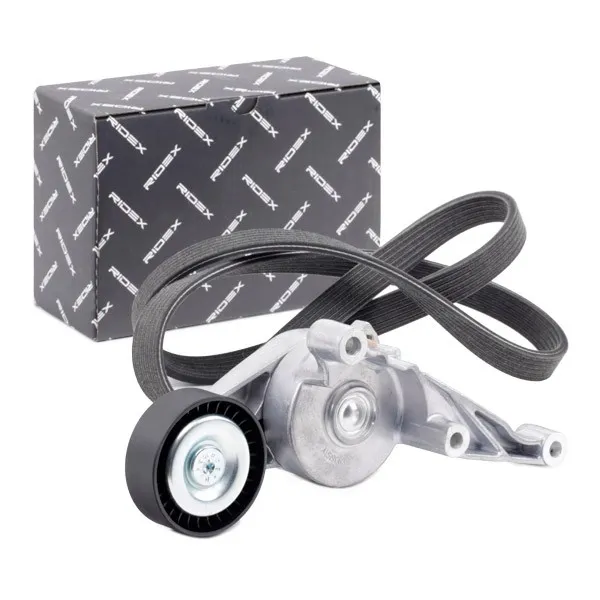 Drivremssats RIDEX 542R0987