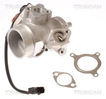 EGR-ventil TRISCAN 8813 10012