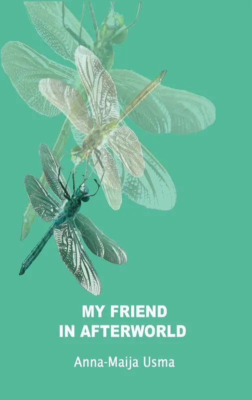 My friend in Afterworld: Experiences in the other reality, E-bok