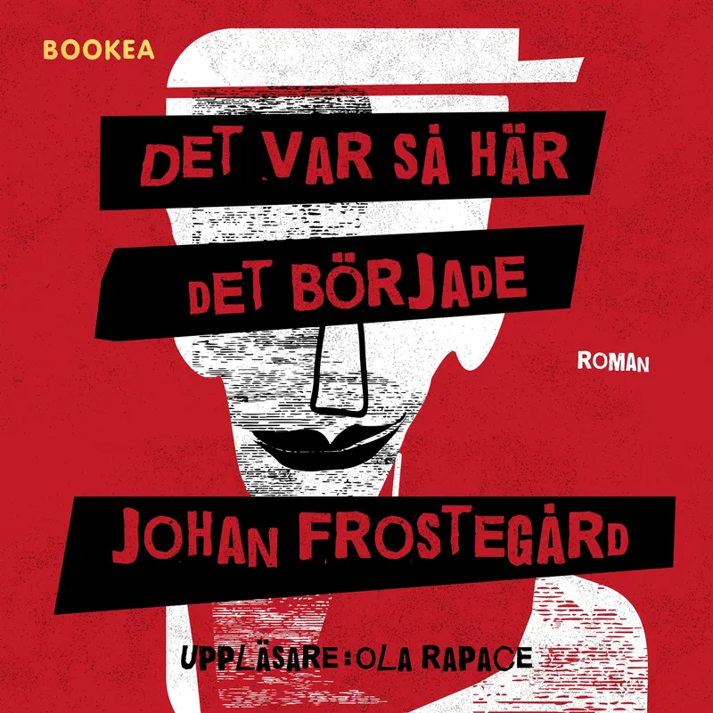 Det var så här det började, Ljudbok
