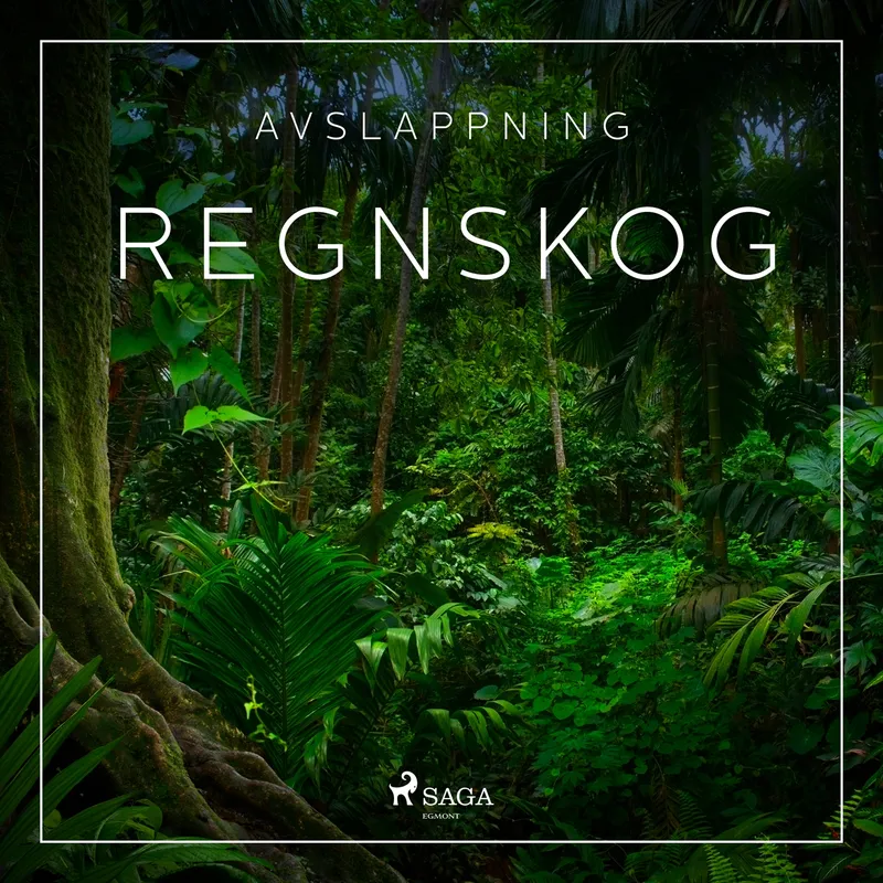 Avslappning - Regnskog