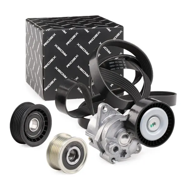 Drivremssats RIDEX 542R0502