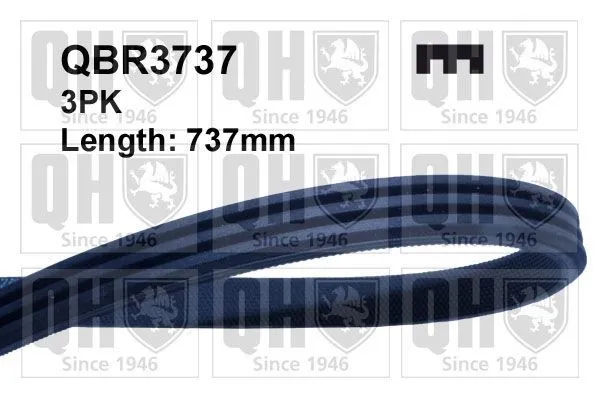 Multirem Quinton Hazell QBR3737