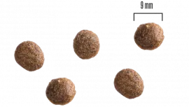 Dog Adult All Breed Kyckling och Potatis, 2kg eller 10 kg