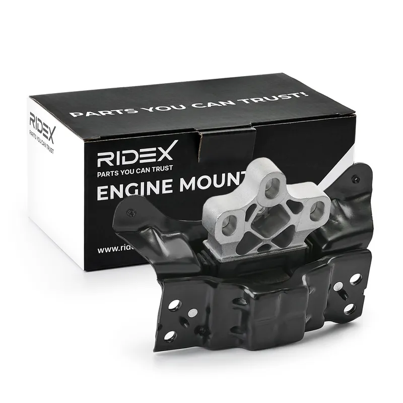 Motorkudde RIDEX 247E0906
