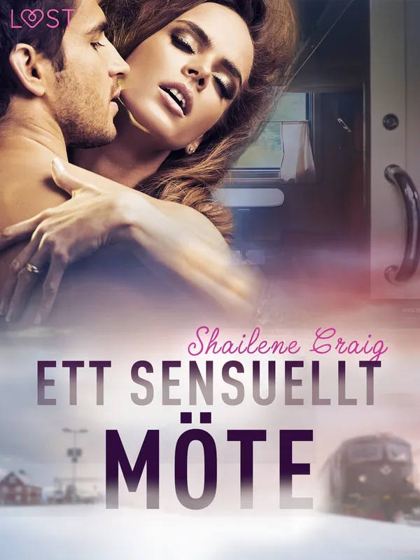 Ett sensuellt möte – erotisk novell, E-bok