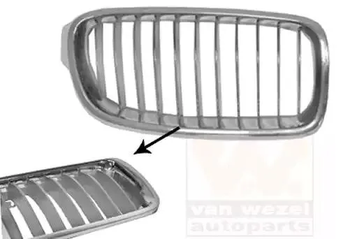 Kylargrill VAN WEZEL 0670514