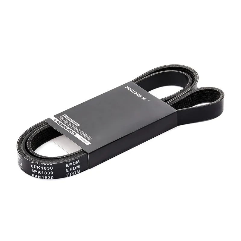 Multirem RIDEX 305P0338