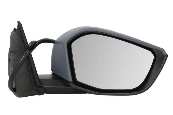 Backspegel BLIC 5402-08-2543311P