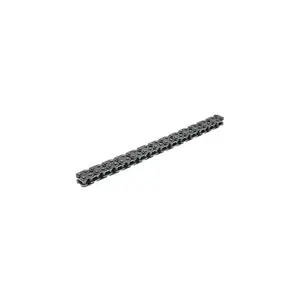 Kedja, oljepump Borsehung B18228