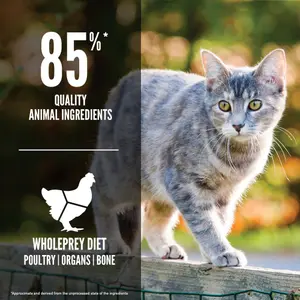 Orijen Cat Original Torrfoder - 1,8 kg