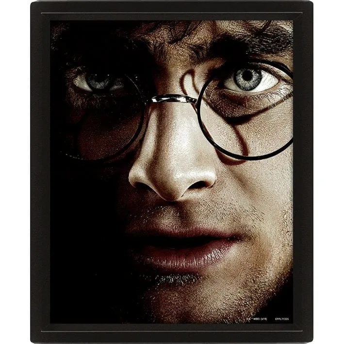 Pyramid - Wall Art - Harry Potter vs Voldemort 3D Framed 20x - Bild
