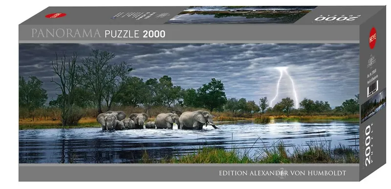 Panorama Pussel – Humboldt, En flock av elefanter 2000 Bitar