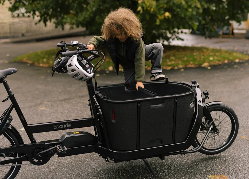 Ecoride Loader-421-midmotor-black