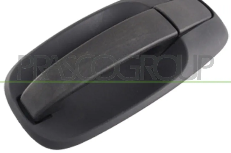 Dörrhandtag PRASCO OP9328141