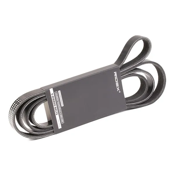 Multirem RIDEX 305P0101