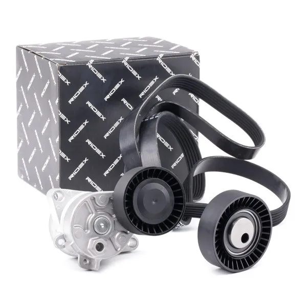 Drivremssats RIDEX 542R0913