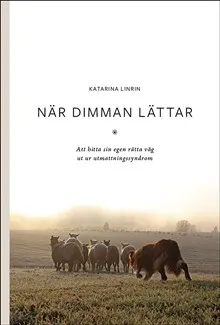 När dimman lättar : att hitta sin egen rätta väg ut ur utmattningssyndrom