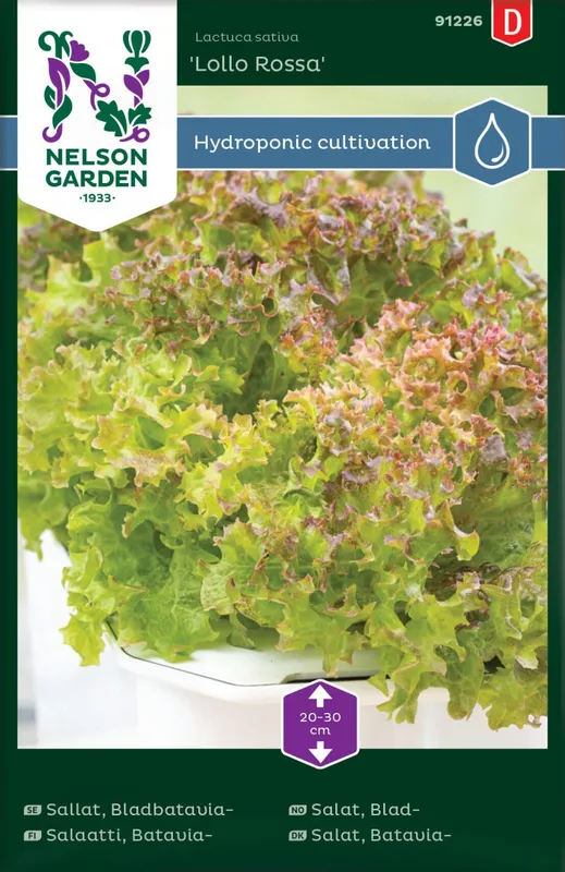 Sallat, Bladbatavia-, Lollo Rossa – Lactuca sativa Lollo Rossa