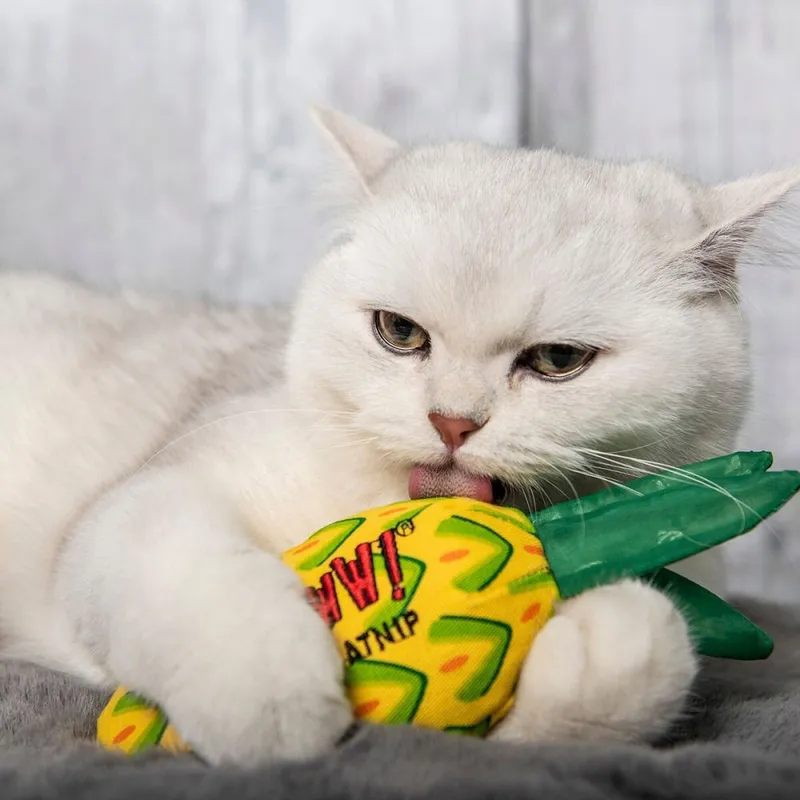 Leksak Ananas med Kattmynta - Ananas