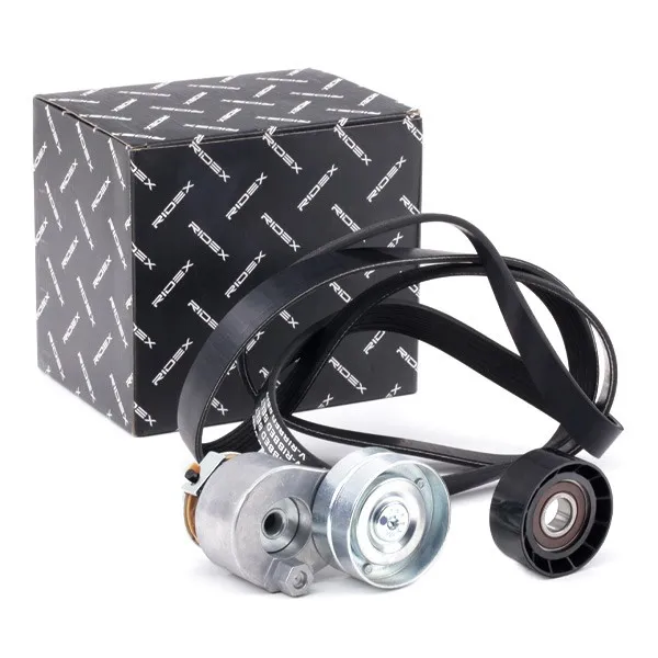 Drivremssats RIDEX 542R0733