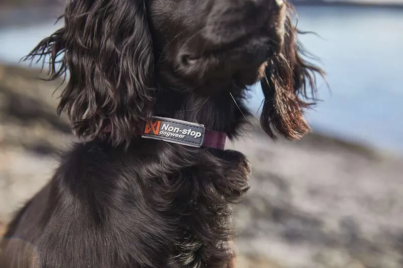 Tumble Hundhalsband Lila