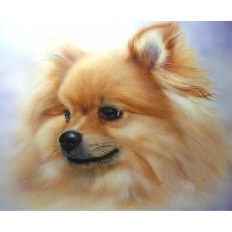 Full borr diamant målning korsstygn Pomeranian bilder diamant broderi prydnad klistermärke 20X30CM