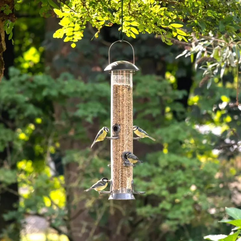 Fröautomat Adventurer 55 cm (6 öppningar)