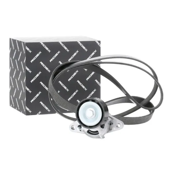 Drivremssats RIDEX 542R0056
