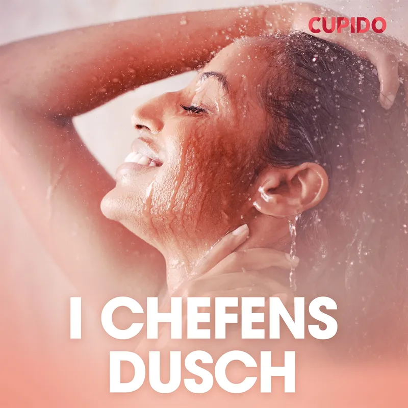 I chefens dusch – erotiska noveller, Ljudbok
