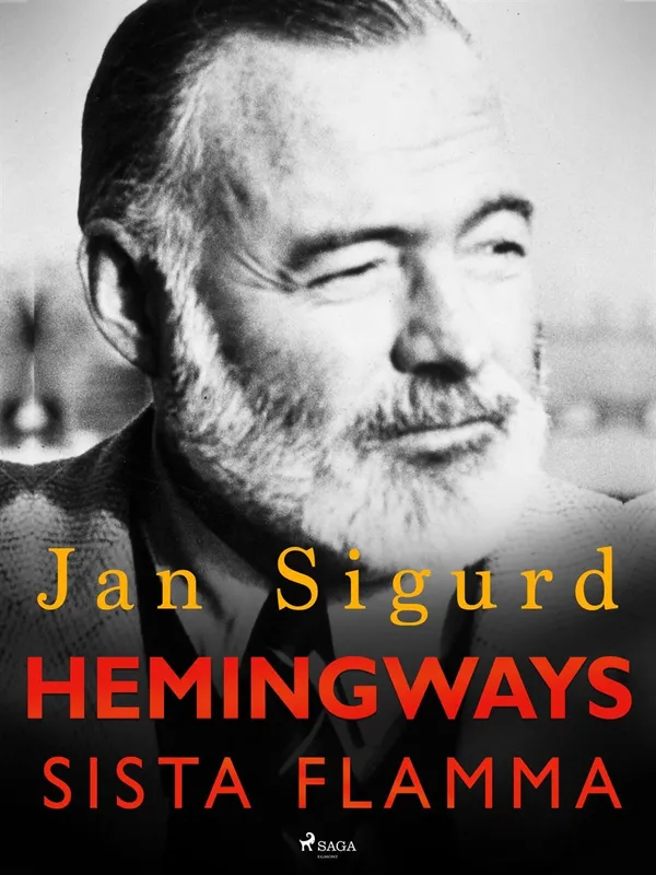Hemingways sista flamma, E-bok
