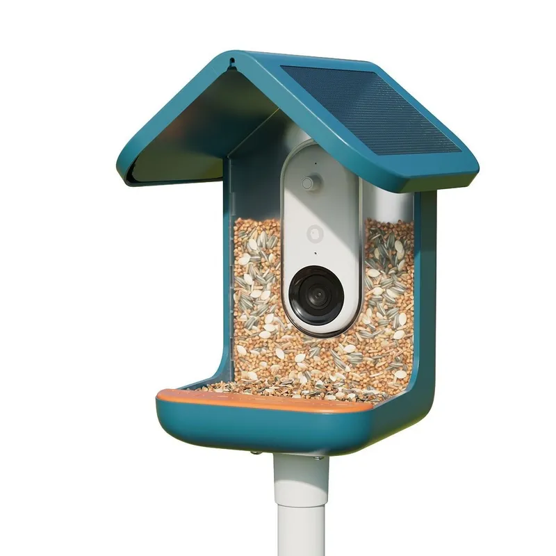 Birdbuddy Fågelmatare med Kamera Blå