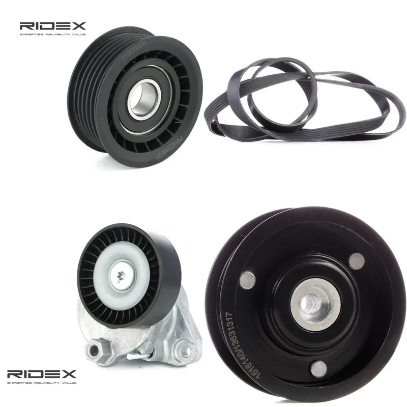 Drivremssats RIDEX 542R1218