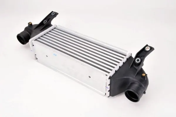 Intercooler THERMOTEC DAG001TT