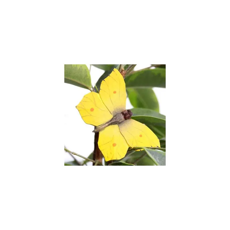 Wildlife Garden Fjäril – Citronfjäril