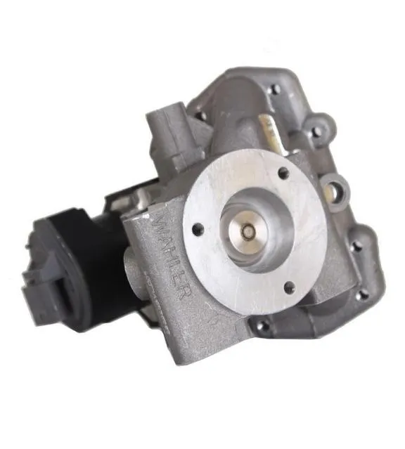 EGR-ventil WAHLER 710965D