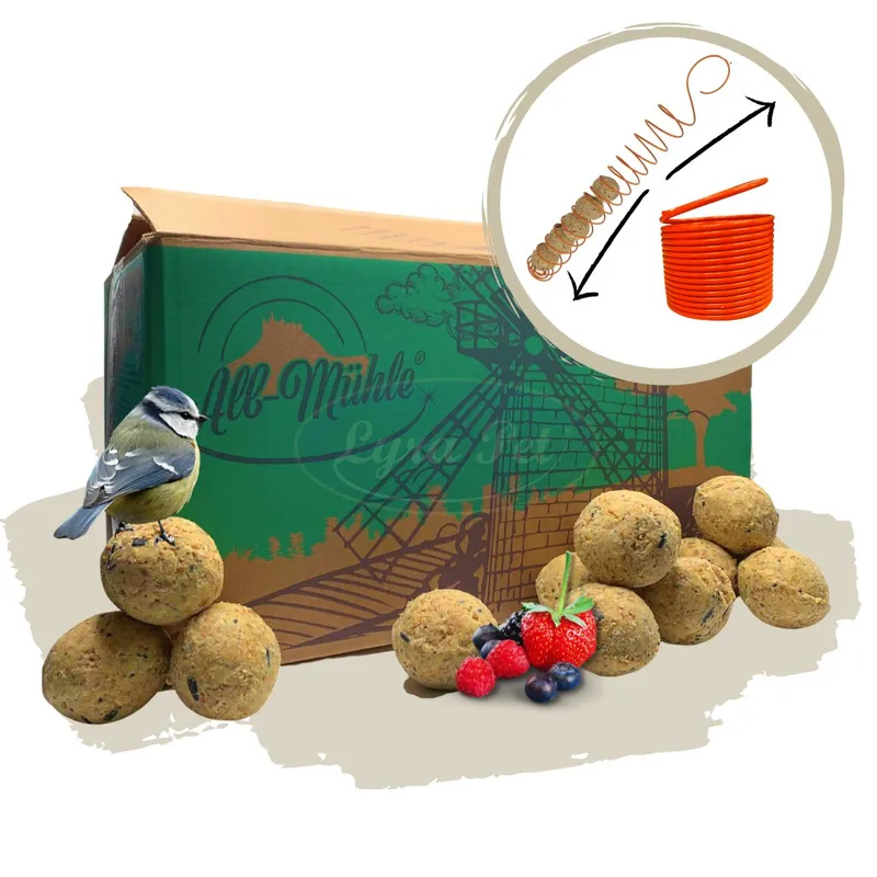 Lyra Pet Talgbollar Fullkorn & Frukt + 2 Matare